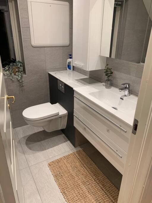 Fin Leilighet I Tromsdalen. Apartman Tromsø Kültér fotó