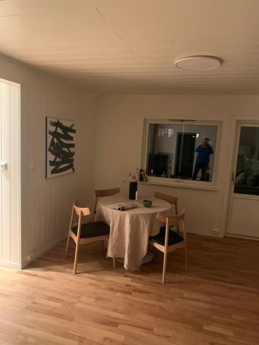 Fin Leilighet I Tromsdalen. Apartman Tromsø Kültér fotó